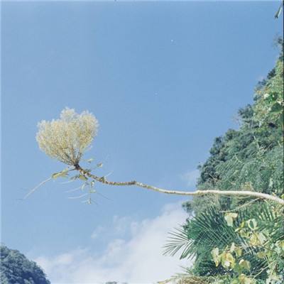 胜力小子无敌版